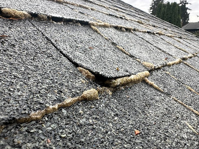 asphalt roof with dead moss.jpg