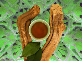 Ayahuasca in Amazonian Retreats