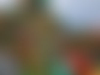 My Visits to Super Nintendo World at Epic Universe