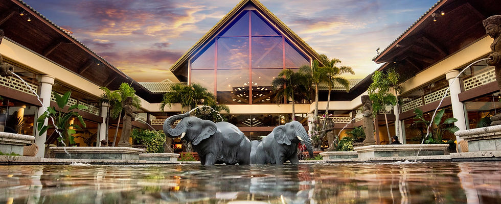 6. Lobby-Water Feature.jpg