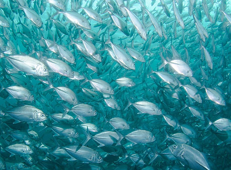 jean-wimmerlin-ePvBOHsAA54-unsplash_edit