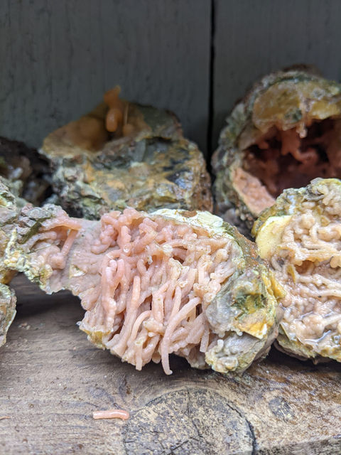 john's stalactite stuff.jpg