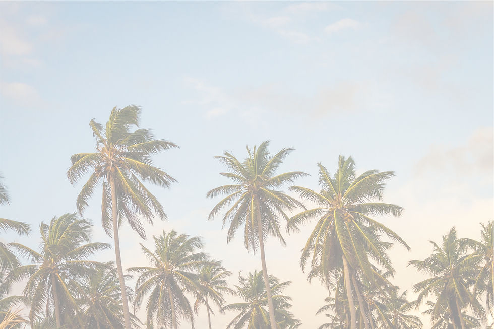 Palm Trees_edited.jpg
