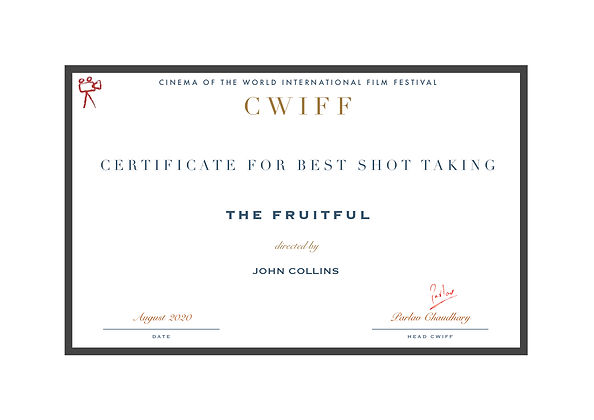 1.4 Best Cinematography (Experimental) T