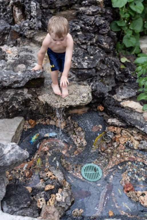 Fish Pond