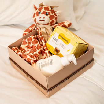 CESTA MATERNIDADE PARA GESTANTES