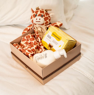 Cesta para maternidade — itens para bebê e cuidados da mãe, apresentação impecável (Curitiba e Brasil)