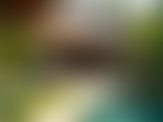 Boutique Vacation Rental Options: A Gateway to Unique Vacations