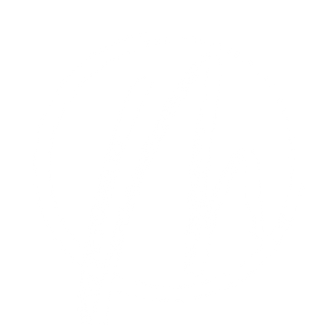 MJ_ProDreamer Logo (1).png