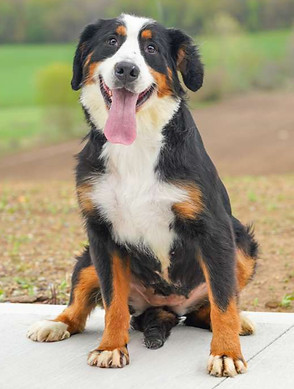 WhatsApp Image 2025-09-26 at 23.31_edited.jpg