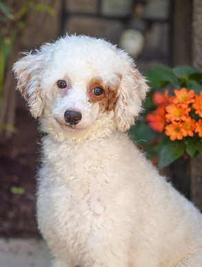 WhatsApp Image 2025-09-12 at 06_edited.jpg