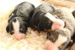 WhatsApp Image 2022-11-06 at 05.58.16.2.jpg