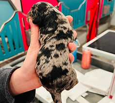 WhatsApp Image 2023-01-02 at 22.20.10.1.jpg