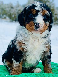 WhatsApp Image 2022-12-29 at 04.32.56.2.jpg