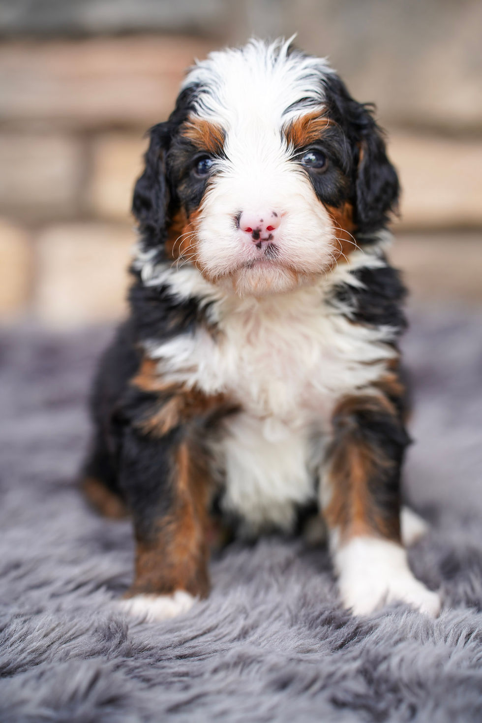 Mississippi "Missy" River