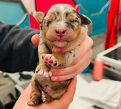 WhatsApp Image 2023-01-02 at 22.18.34.1.jpg