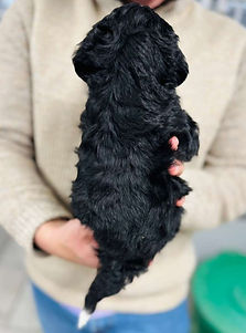 WhatsApp Image 2026-03-24 at 02.57.35 (1).jpeg