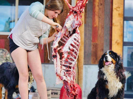 🍖 The Ugly of Raw Feeding Dogs 🥩