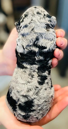 WhatsApp Image 2022-11-29 at 01.49.32.2.jpg