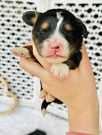 WhatsApp Image 2023-04-25 at 02.51.03.jpg