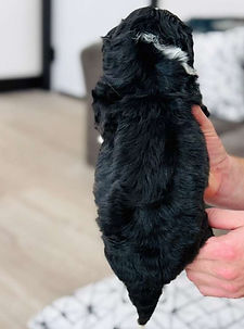 WhatsApp Image 2025-12-23 at 04.47.40 (1).jpeg