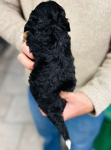 WhatsApp Image 2026-03-24 at 02.46.39 (1).jpeg