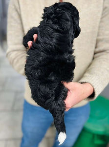 WhatsApp Image 2026-03-24 at 02.43.33.jpeg