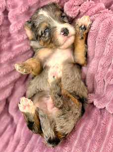 WhatsApp Image 2024-10-10 at 21.14.29_6fd4a190.jpg