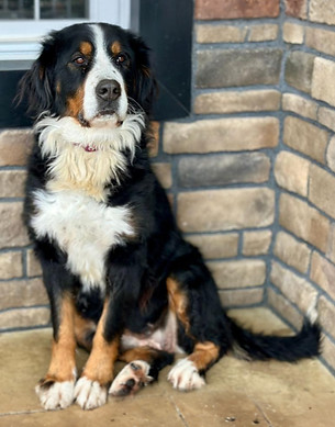 WhatsApp Image 2025-06-27 at 00_edited.jpg