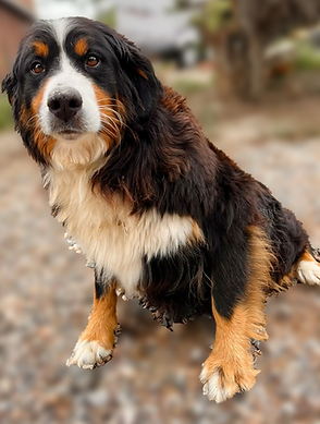 WhatsApp Image 2023-09-02 at 05.40.09.png