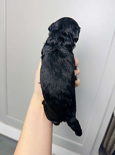 WhatsApp Image 2025-12-30 at 23.23.52.jpeg