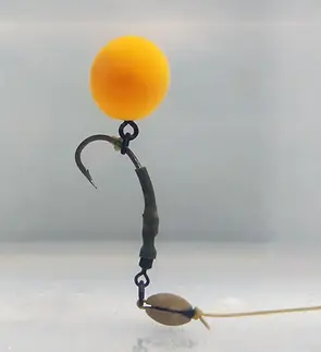 carp rig.webp