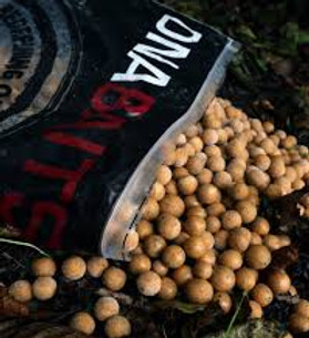 dna baits.jfif