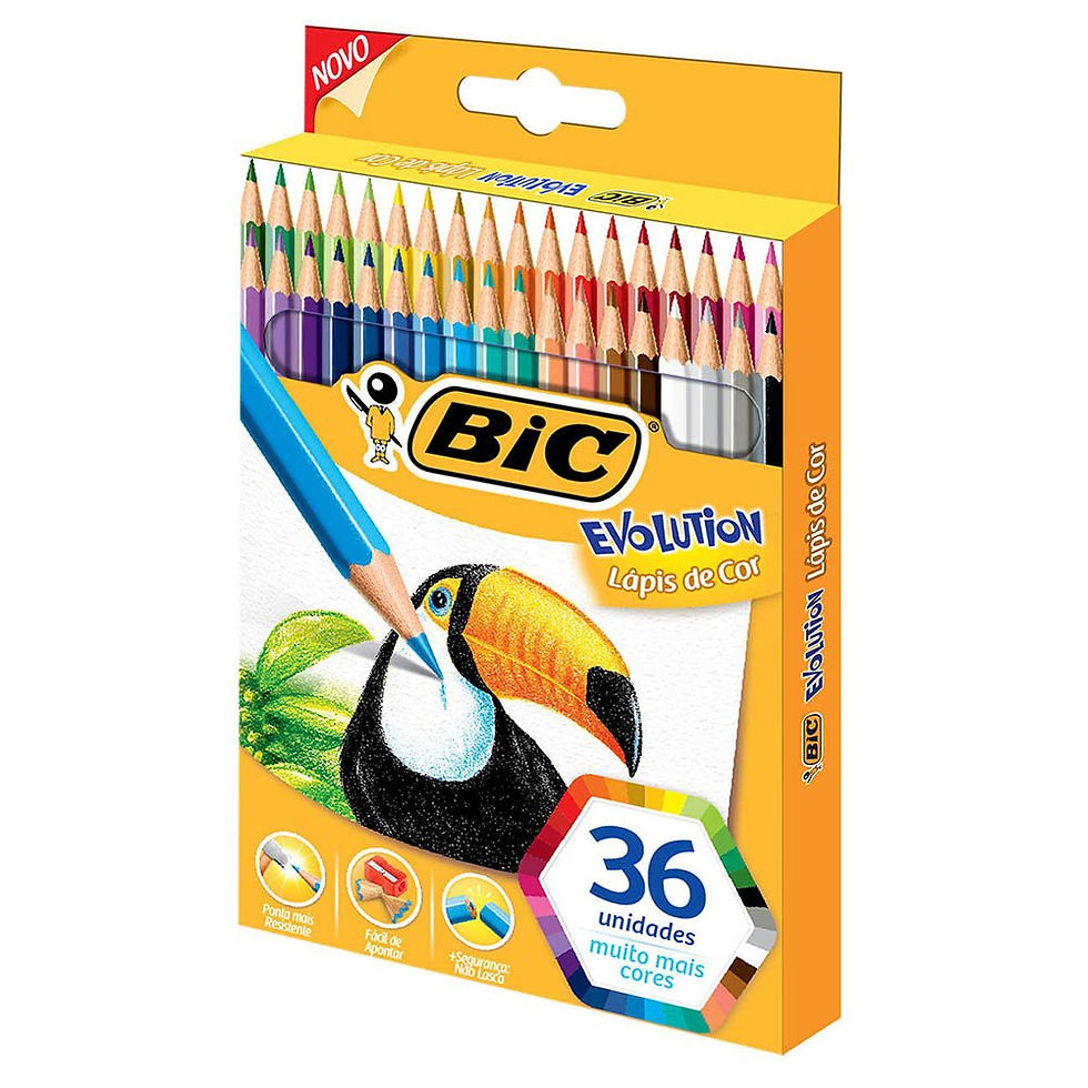 LÁPIS DE COR BIC EVOLUTION - 36 CORES