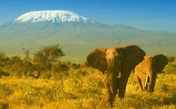 KENIA