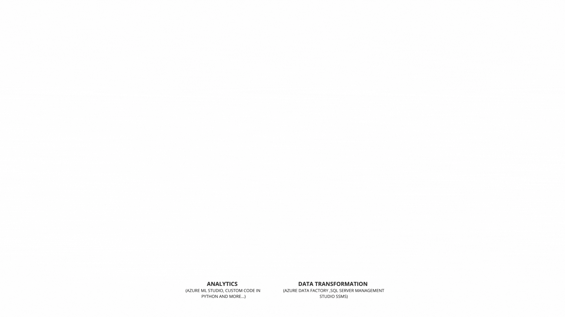 website design_spoggle.gif