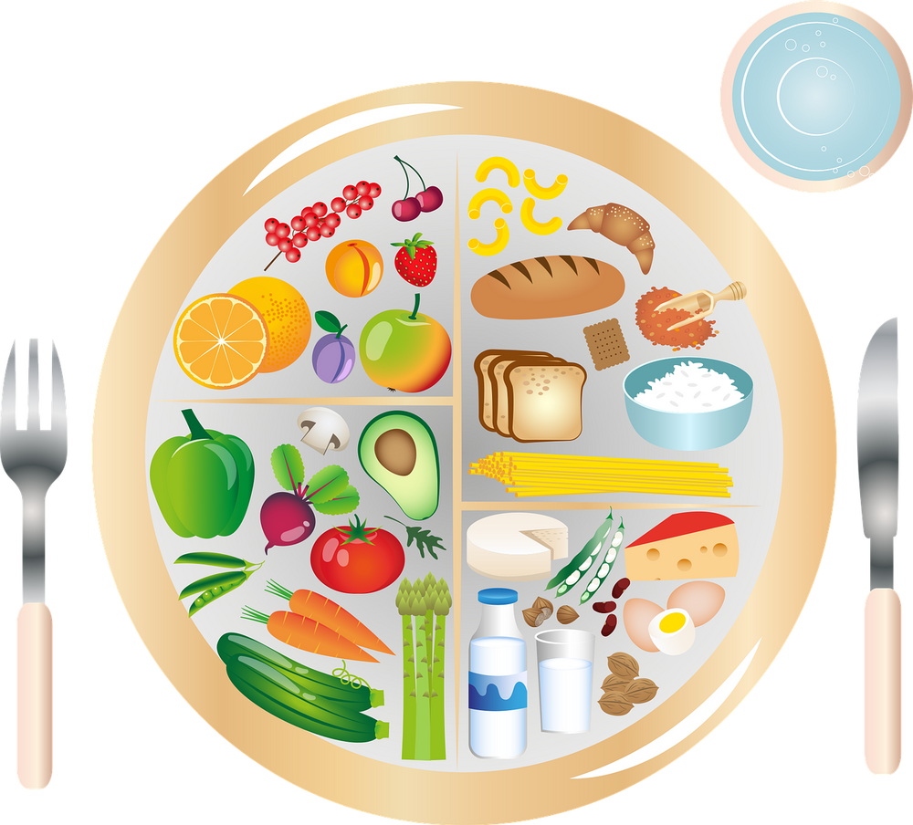 Canada’s Food Guide Activities