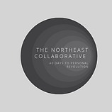 NE Collaborating 40 days (2).png