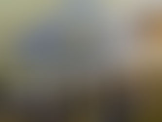 Previ: Tabela PIP é aprovada pelo BB e beneficiará dezenas de milhares de trabalhadores