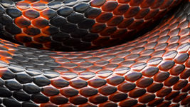 Mindfulness Blog for Educators: Riding the Rollercoaster of Life.