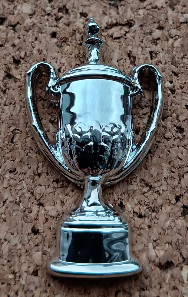 FA Vase 3D Trophy Pin/Badge