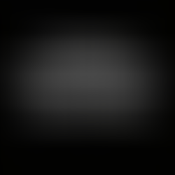 Emergency Management Guidance for Elected Officials