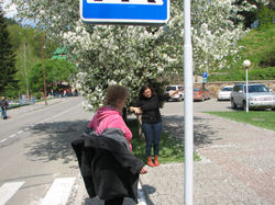 Picasa - IMG_2618.jpg