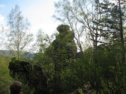 Picasa - IMG_2665.jpg
