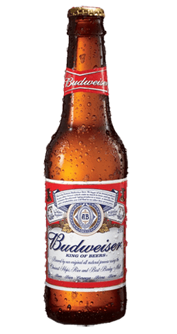 Cerveza Botellin Budweiser