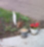 20250610_080406_edited.jpg