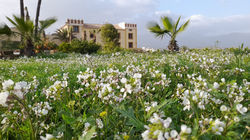 Aquí el tiempo se detiene para ti