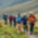 a group of adults hiking in the welsh mountains with one dog who is on a leash and being l