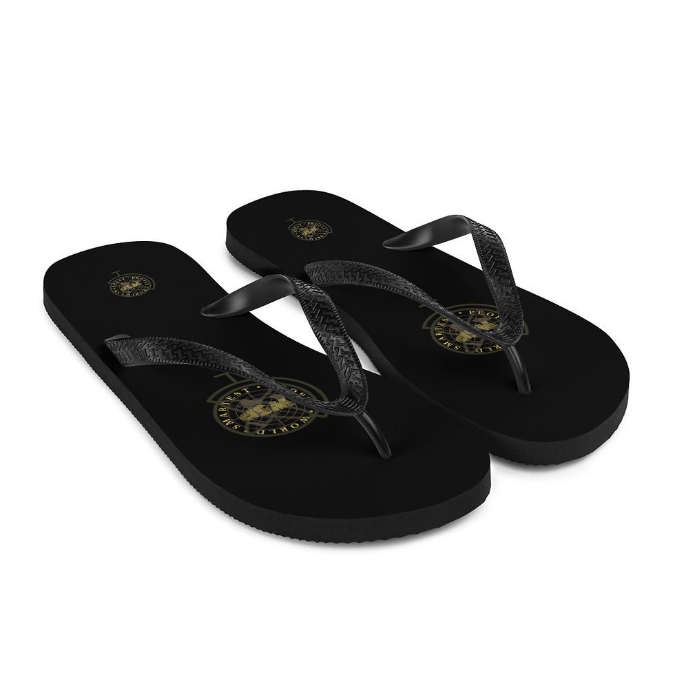 Thumbnail: Flip-Flops