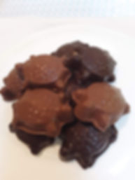 6ct Milk or Dark Turtles 